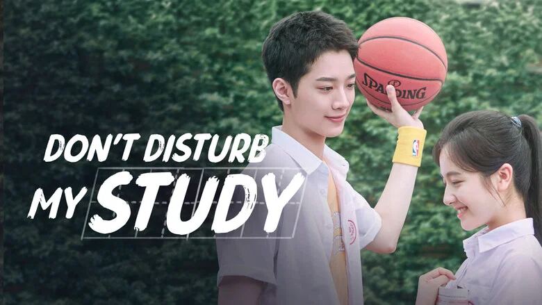 Don't Disturb My Study