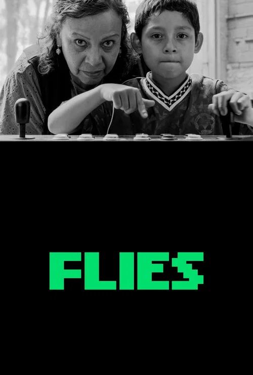 Flies