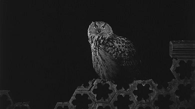1994 با زیرنویس فارسی