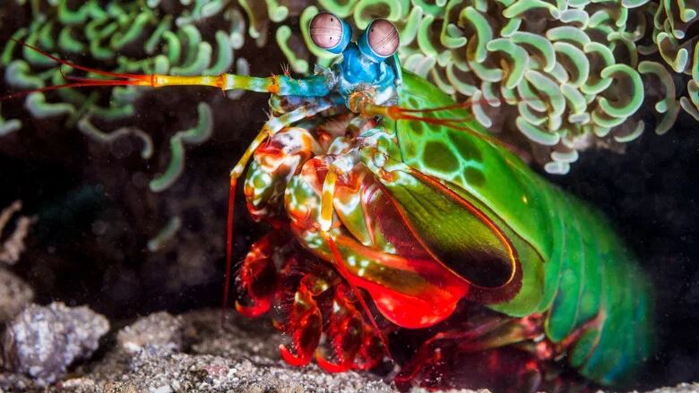 File not found.