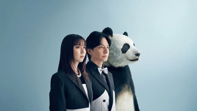 We Are Worse at Love Than Pandas