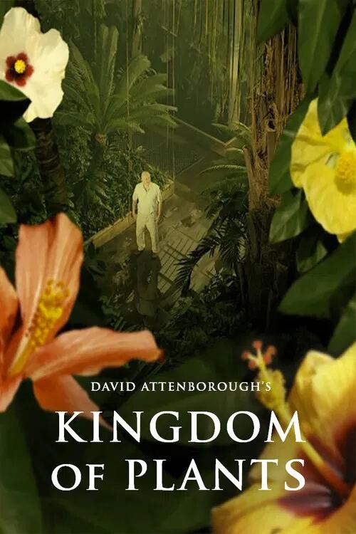 Kingdom of Plants