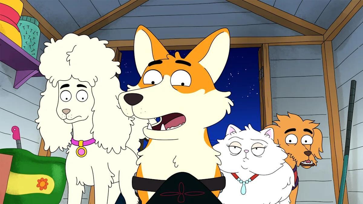 HouseBroken