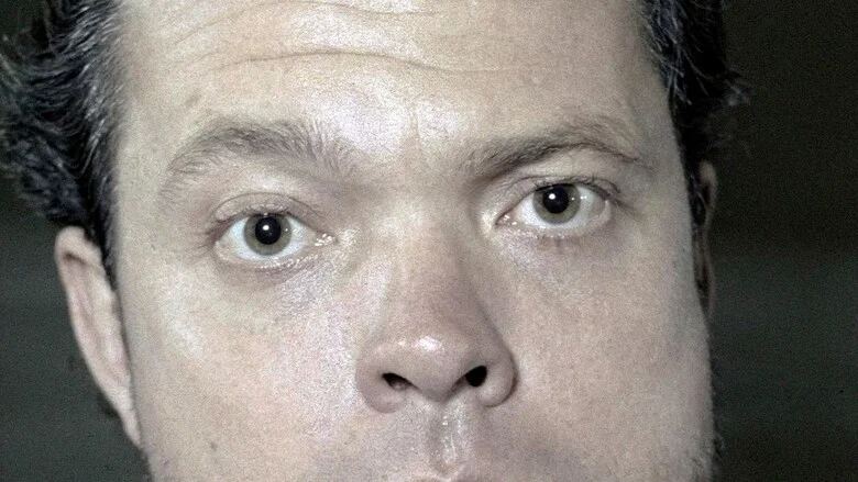 The Eyes of Orson Welles