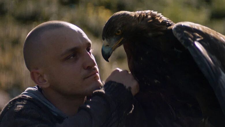 لوسیفر