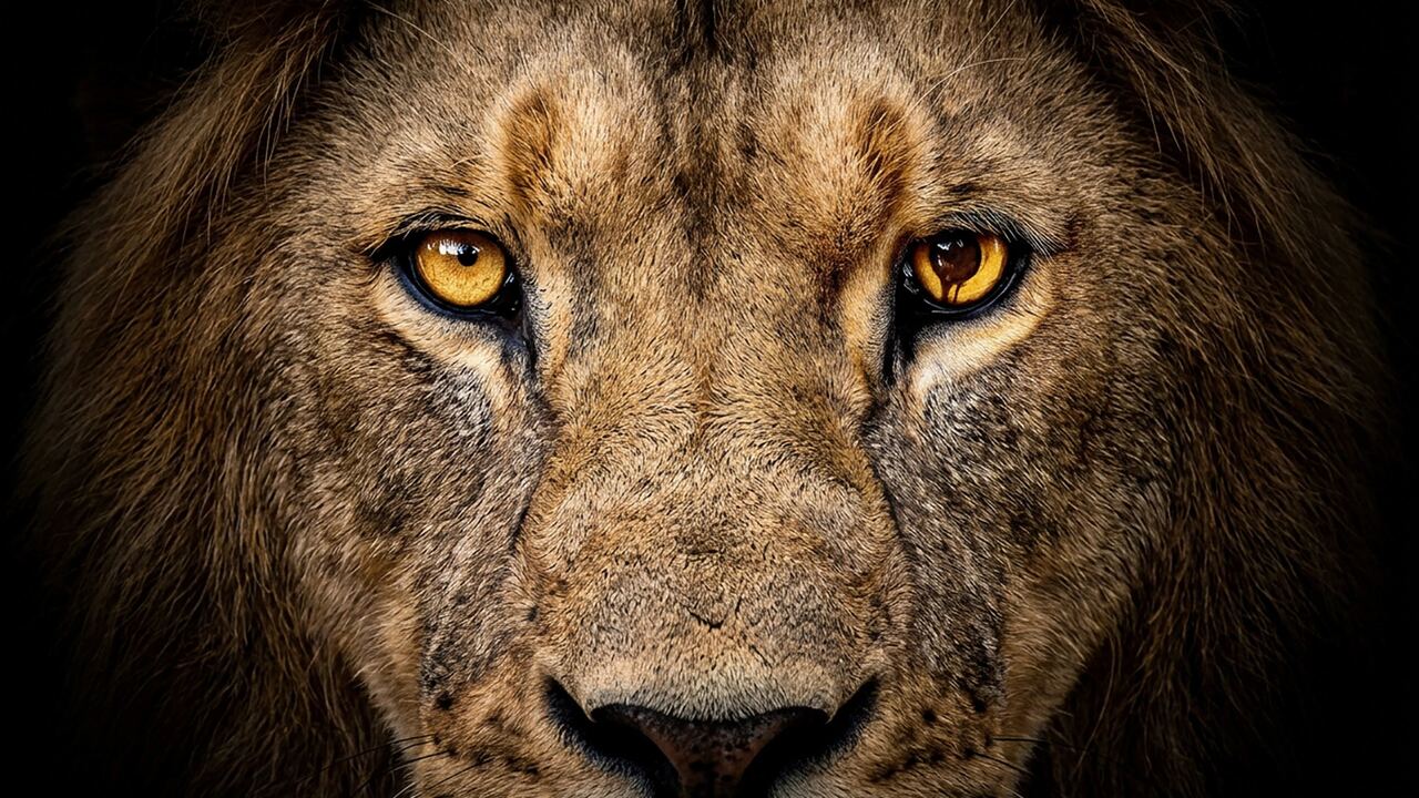 Zoo