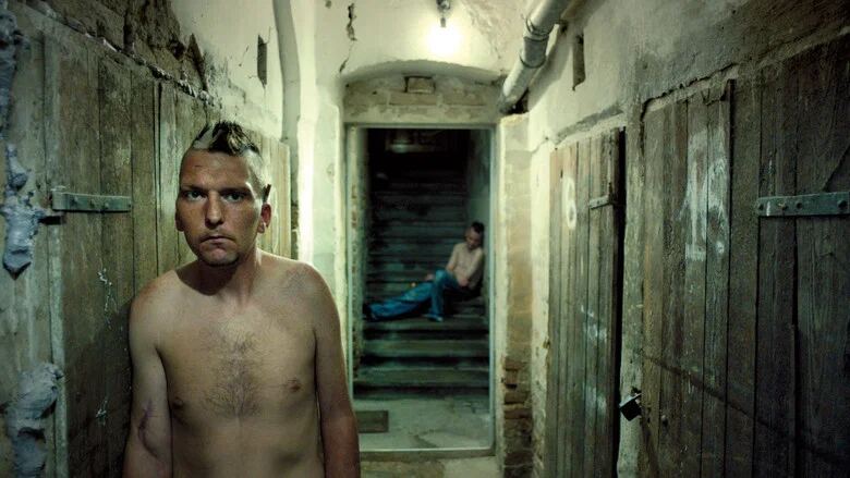 در زیرزمین
