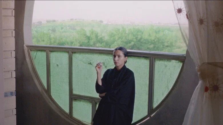 ناقة